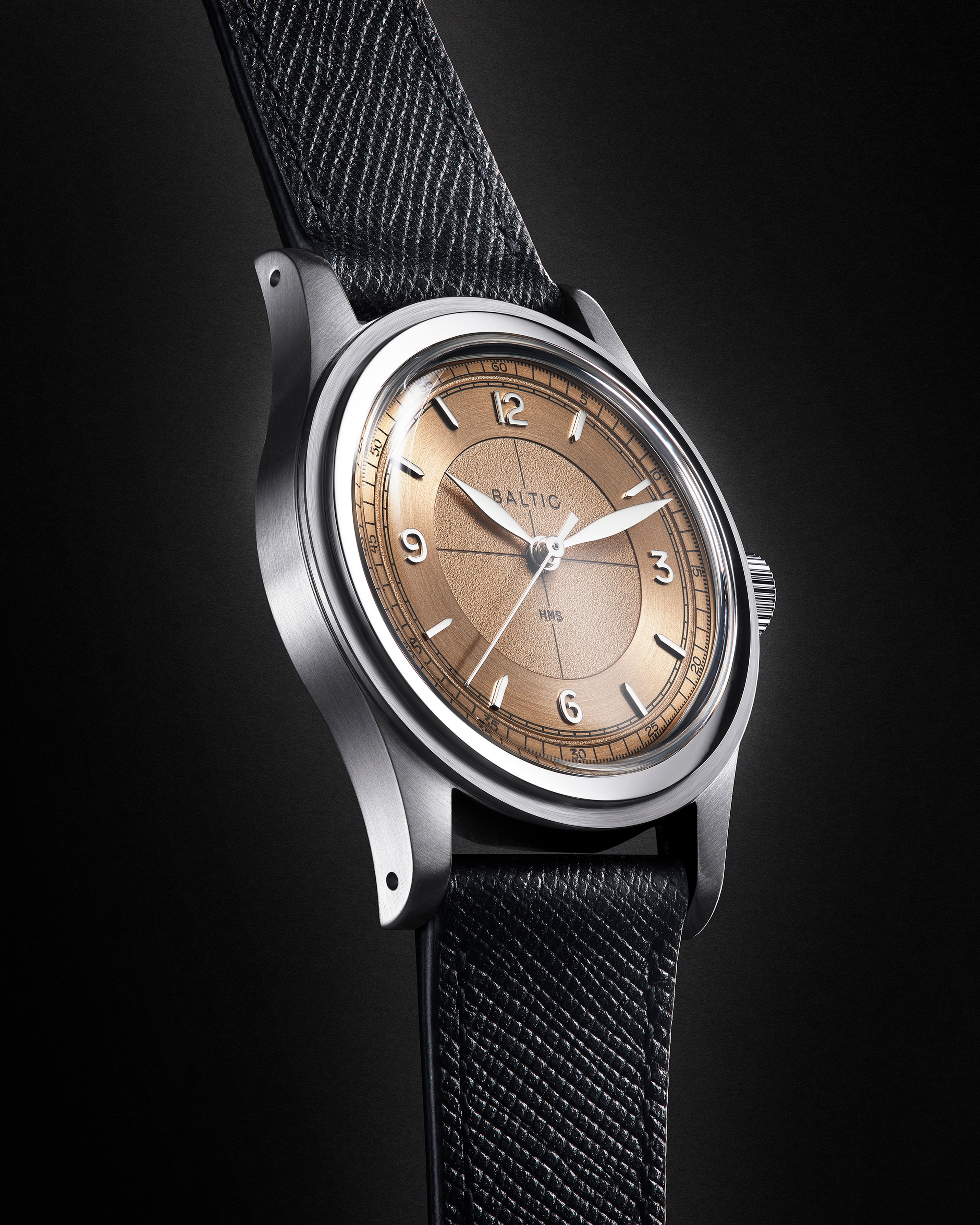 Baltic watches 2024 salmon